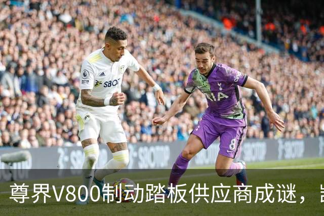 尊界V800制动踏板供应商成谜，凯众股份小心回应客户身份
